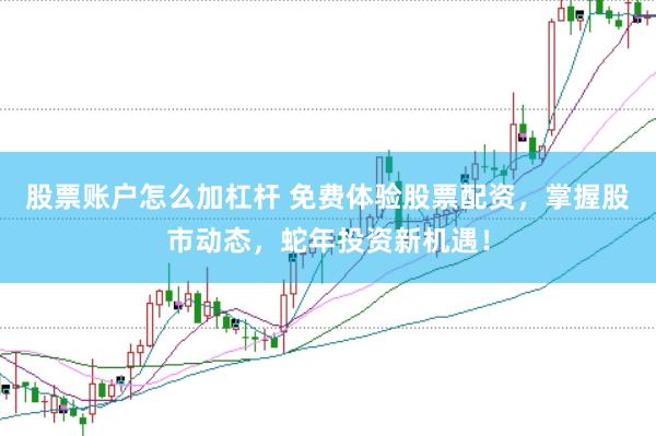 股票账户怎么加杠杆 免费体验股票配资，掌握股市动态，蛇年投资新机遇！