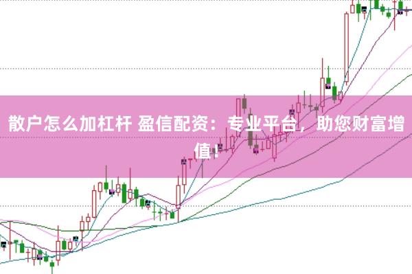 散户怎么加杠杆 盈信配资：专业平台，助您财富增值！