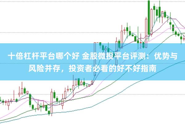 十倍杠杆平台哪个好 金股微投平台评测：优势与风险并存，投资者必看的好不好指南