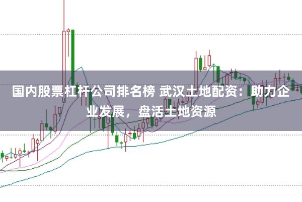国内股票杠杆公司排名榜 武汉土地配资：助力企业发展，盘活土地资源