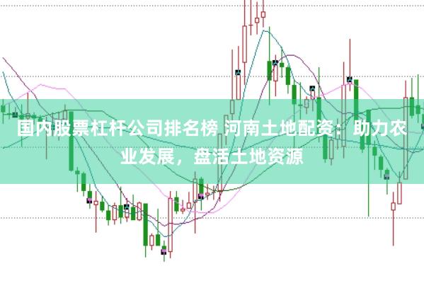 国内股票杠杆公司排名榜 河南土地配资：助力农业发展，盘活土地资源
