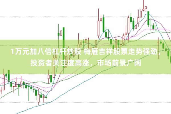 1万元加八倍杠杆炒股 梅雁吉祥股票走势强劲，投资者关注度高涨，市场前景广阔