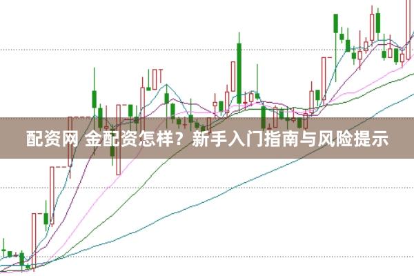 配资网 金配资怎样？新手入门指南与风险提示