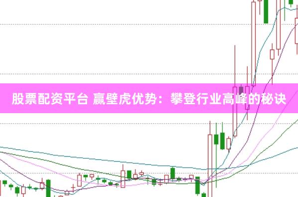 股票配资平台 赢壁虎优势：攀登行业高峰的秘诀