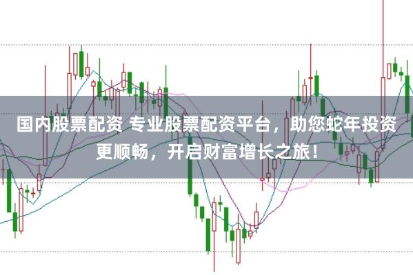 国内股票配资 专业股票配资平台，助您蛇年投资更顺畅，开启财富增长之旅！