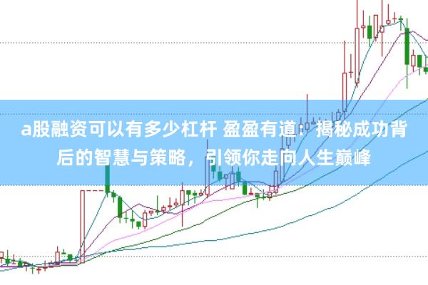 a股融资可以有多少杠杆 盈盈有道：揭秘成功背后的智慧与策略，引领你走向人生巅峰