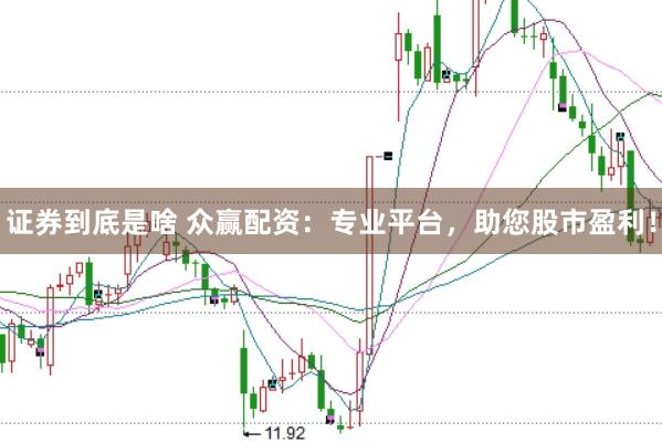 证券到底是啥 众赢配资：专业平台，助您股市盈利！