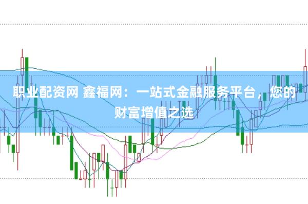 职业配资网 鑫福网：一站式金融服务平台，您的财富增值之选