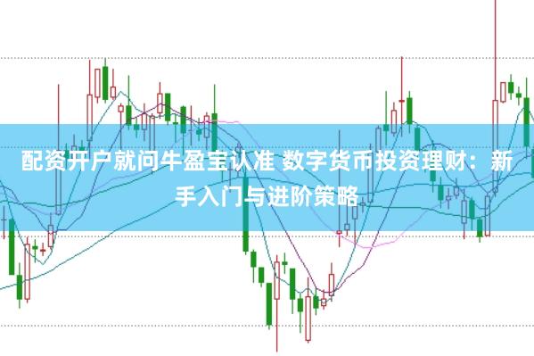 配资开户就问牛盈宝认准 数字货币投资理财：新手入门与进阶策略