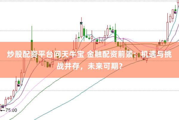 炒股配资平台问天牛宝 金融配资前景：机遇与挑战并存，未来可期？