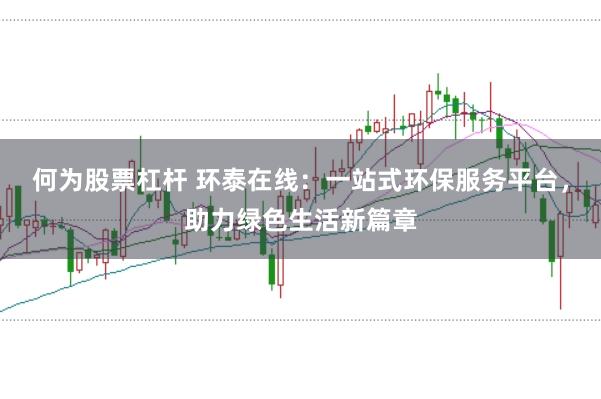 何为股票杠杆 环泰在线：一站式环保服务平台，助力绿色生活新篇章