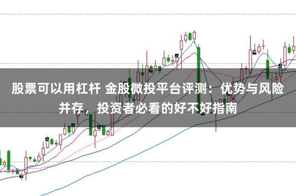 股票可以用杠杆 金股微投平台评测：优势与风险并存，投资者必看的好不好指南