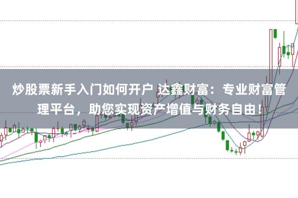 炒股票新手入门如何开户 达鑫财富：专业财富管理平台，助您实现资产增值与财务自由！