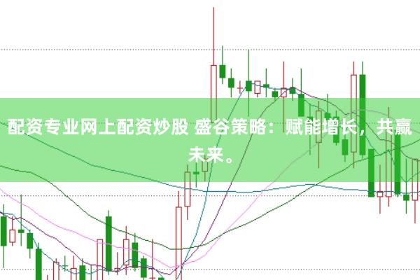 配资专业网上配资炒股 盛谷策略：赋能增长，共赢未来。