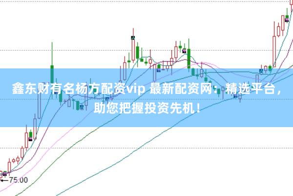 鑫东财有名杨方配资vip 最新配资网:精选平台,助您把握投资先机!