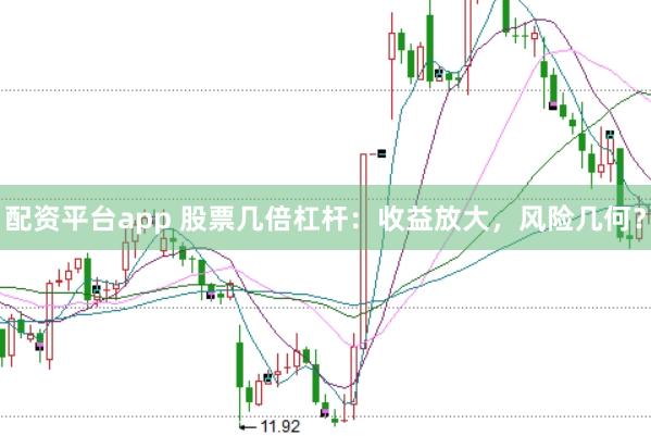 配资平台app 股票几倍杠杆：收益放大，风险几何？