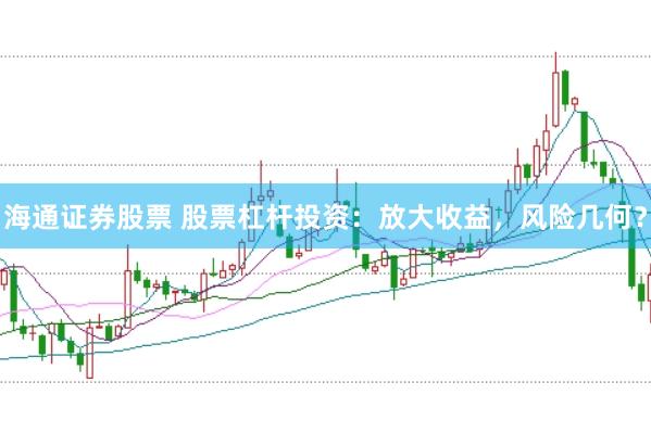 海通证券股票 股票杠杆投资：放大收益，风险几何？